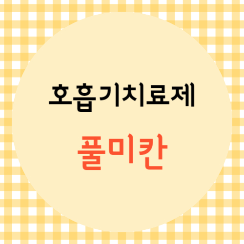 풀미칸