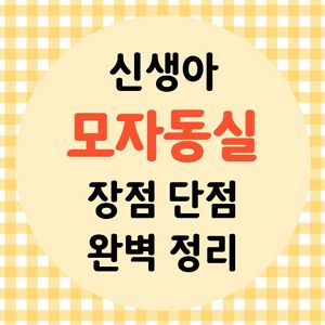 신생아 모자동실 장점 단점